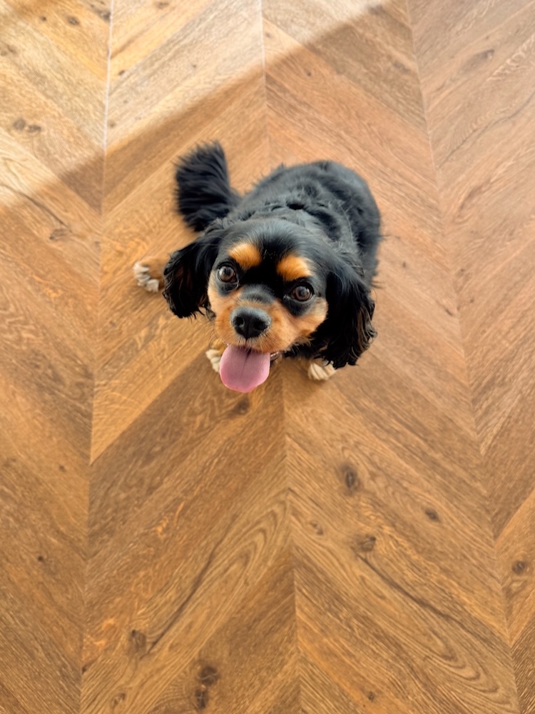 Floorify chevron f733 oscar Floorify chevron f733 oscar - Image 2